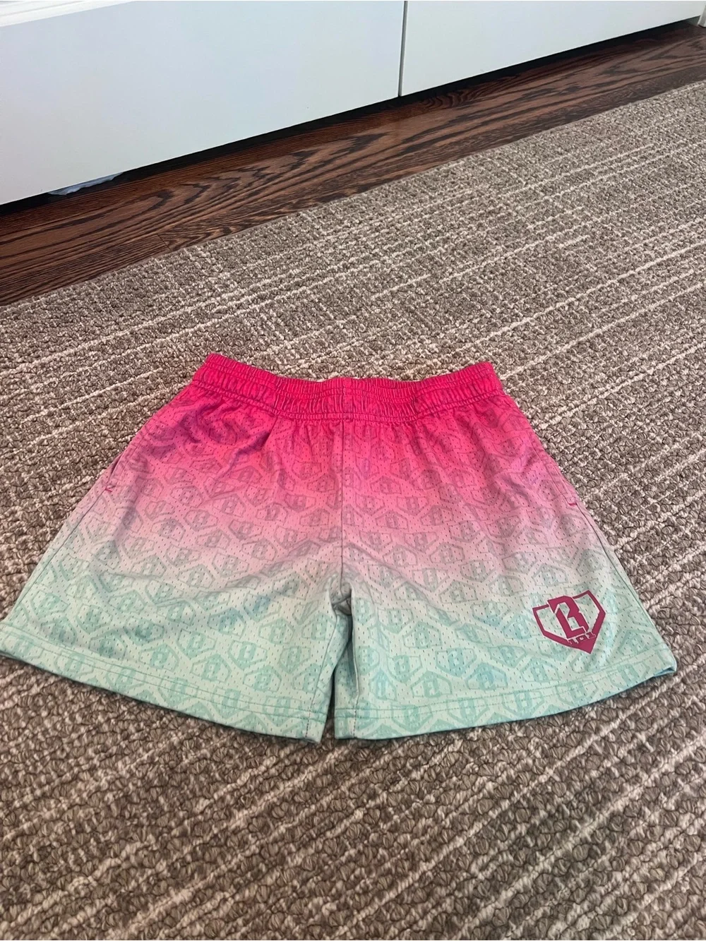 Baseball Lifestyle 101 Watermelon Shorts YL